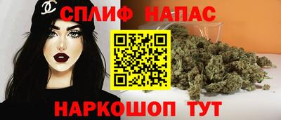 гашик Кинель