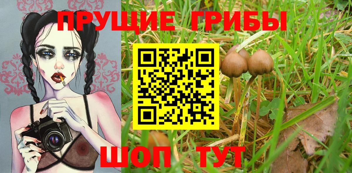 Псилоцибиновые грибы MAGIC MUSHROOMS Карталы